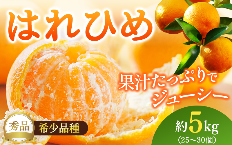【先行予約】希少種みかん はれひめ 秀品 約5kg (25個～30個) ※2026年12月中旬～2027年2月初旬頃に順次発送予定（お届け日指定不可）/ 和歌山 みかん ミカン はれひめ フルーツ 柑橘 蜜柑 果物 くだもの 旬 産地直送【kgr004A】