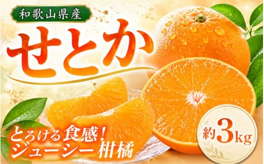 とろける食感！ジューシー柑橘　せとか　約3kg【予約】【2027年2月下旬頃〜2027年3月中旬頃発送(お届け日指定不可)】/和歌山 関西 フルーツ 美味しい 濃厚