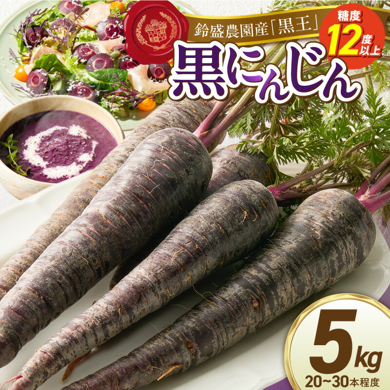【ふるさと納税】メディア出演多数 期間限定 黒人参 黒王 5kg にんじん 甘い 抗酸化力 塩農法 カラフルにんじん 高糖度 スーパーフード 栄養 生でも食べやすい ブラックキャロット サラダ 華やか 苦みが少ない ジュース 野菜 農作物 鈴盛農園 愛知県 碧南市 送料無料