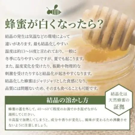 【数量限定】国産 生はちみつ 日本みつばち【非加熱・無添加の生蜂蜜】300g×2 B3-115【配送不可地域：離島】【1752142】