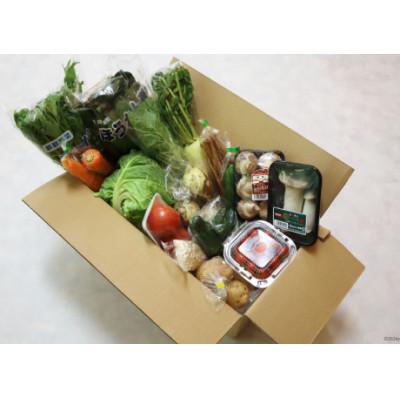 ふるさと納税 島原市 【発送月固定定期便】【1〜3月限定出荷】こむたの旬の野菜(13〜15品目)おまかせLセット全3回 |  | 03