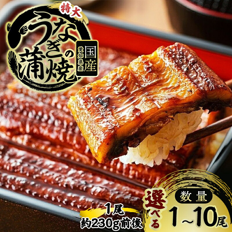 【ふるさと納税】国産うなぎ 特大 蒲焼き 選べる1～10尾 1尾約230g前後 国産 うなぎ ウナギ 鰻 国産鰻 うなぎの蒲焼き ウナギの蒲焼 国産うなぎ蒲焼 国産鰻の蒲焼 魚 お魚 魚介 魚介類 海鮮 海鮮セット 惣菜 職人 手焼き ギフト 贈り物 プレゼント 福井 福井県 若狭町
