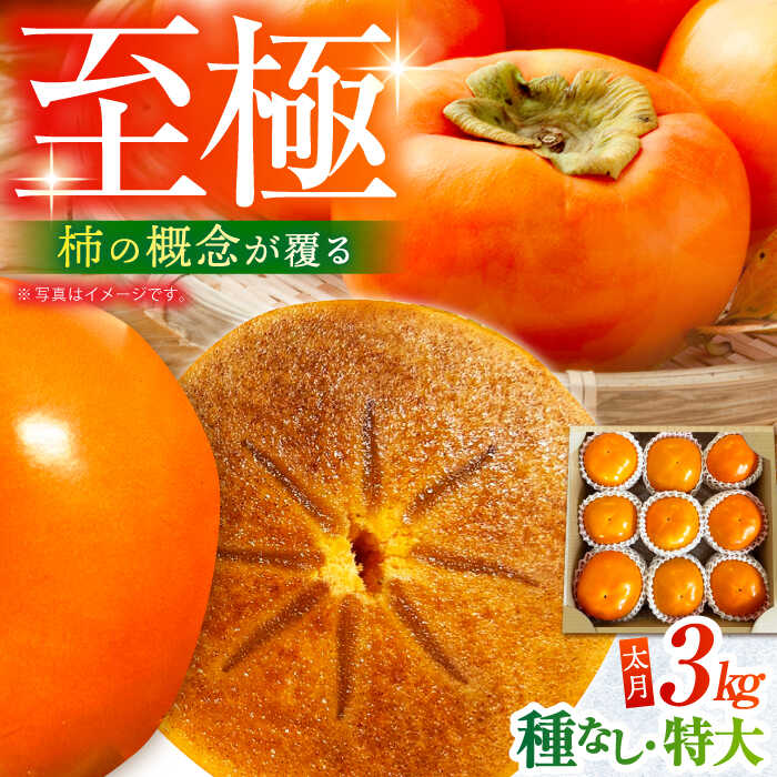 【ふるさと納税】【先行予約】【10月中旬〜11月下旬発送】種なし柿 太月・渋抜き柿 3kg 【小林農園】[HAX001] / 柿 かき カキ たねなし柿 種なし 食品 フルーツ 果物 柿 くだもの 送料無料 佐賀県 江北町 秋 旬 19000 19000円