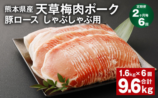 【2ヶ月毎6回定期便】完全無薬！梅肉エキス肥育 熊本県産 天草梅肉ポーク 豚ロース しゃぶしゃぶ用 計約9.6kg 1.6kg×6回 豚肉 お肉