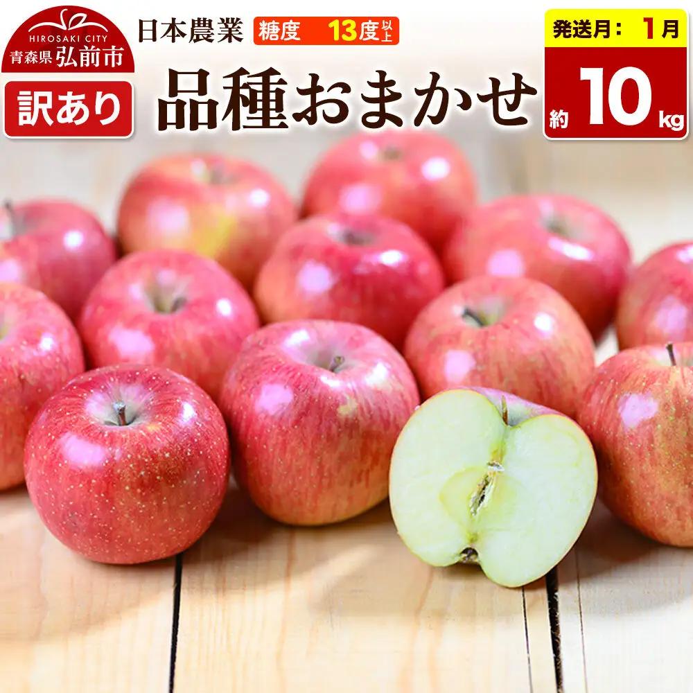 【27年1月発送】りんご 品種おまかせ【訳あり】約10kg 平均糖度13度以上 青森県 弘前市 果物 フルーツ 林檎 リンゴ くだもの 不揃い 規格外