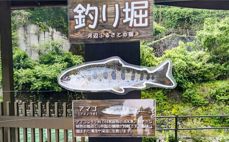 【電子クーポン】透き通る渓流の流れ あまご釣り堀体験 クーポン（お一人様分）愛媛県大洲市/株式会社ゆうとぴあ河辺[AGDO001]