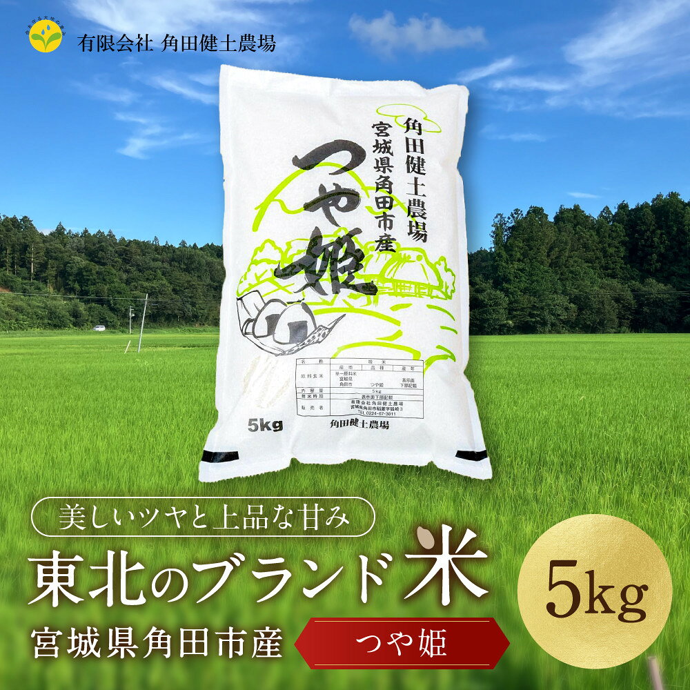 【ふるさと納税】令和8年産 つや姫 5kg×1袋 | お米 白米 精米 こめ ご飯 ごはん おにぎり つやひめ 国産 お取り寄せ 人気 おすすめ 食品 宮城
