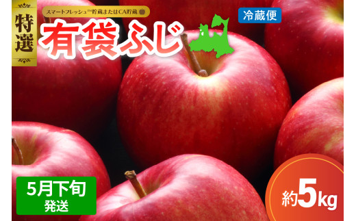 【2026年5月下旬発送】りんご有袋ふじ5kg特選(スマートフレッシュTM貯蔵またはCA貯蔵・クール便)