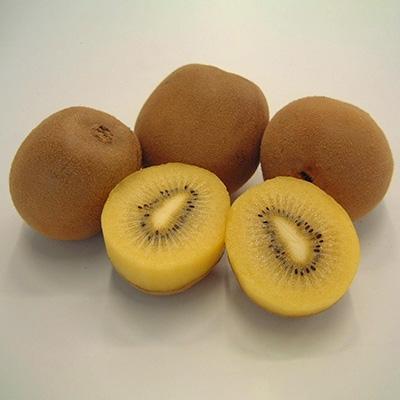 ふるさと納税 観音寺市 香川県オリジナルキウイ「さぬきゴールド」大玉約1.2kg |  | 01