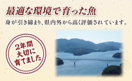 【コリコリ食感がたまらない！】新上五島町産 養殖 ヒラマサ （ヒラス） フィーレ 3枚おろし （カマ入り）【カミティバリュー】[RBP006]