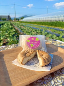 焼き芋がゴロゴロ入った アイス最中 10個セット 和スイーツ アイス アイスクリーム