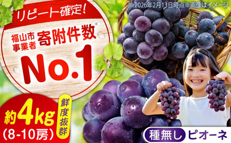 【期間限定/8月下旬〜9月上旬頃発送】ピオーネ 約2kg×2 8〜10房 [BAEV006] ピオーネ