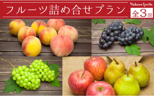 08-06-030　天童フルーツ詰合せプラン(定期便)全3回