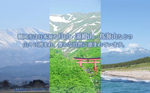 【令和6年産先行予約】鶴岡産 桃 約2kg（5～11玉） あかつき or 川中島　もも