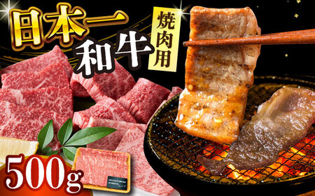 焼肉用 A4-A5 長崎和牛 焼肉用 500g   [DBS001] 牛肉焼肉 牛肉焼肉 牛肉焼肉 牛肉焼肉
