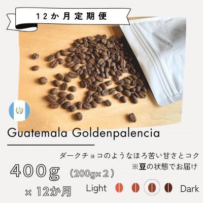 ふるさと納税 筑後市 【発送月固定定期便】グアテマラ　ゴールデンパレンシア(中深煎り)200g×2袋全12回
