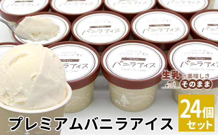 【スピード発送】マダガスカル産 バニラビーンズ香る バニラアイスクリーム 24個 80ml 生乳 牛乳 ミルク スイーツ アイスクリーム バニラビーンズ 12000円 プレミアム バニラアイス デザート