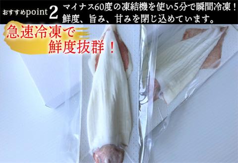 呼子のいか活造り(160g前後×2) 小サイズ コリコリ甘い鮮度抜群の透明感! 刺身 ギフト 冷凍