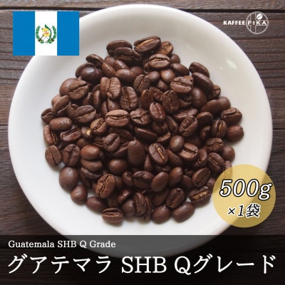 コーヒー豆 スペシャリティ Qグレード認証豆 グアテマラ SHB 中深煎り 500g【1619511】