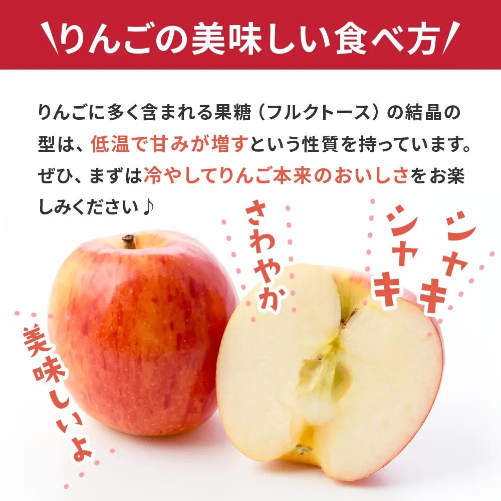 【2027年2月前半発送】 りんご 約5kg 丸福 サンふじ 青森県産 りんご