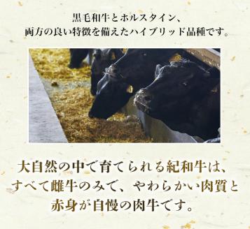 紀和牛 サーロインステーキ 2枚セット【冷凍】 / 牛肉 ステーキ 牛肉 ステーキ 牛肉 ステーキ 牛肉 ステーキ 牛肉 ステーキ 牛肉 ステーキ 牛肉 ステーキ 牛肉 ステーキ 牛肉 ステーキ 牛肉