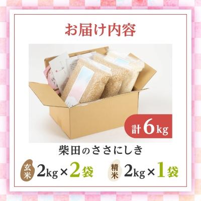 ふるさと納税 柴田町 柴田のささにしき詰め合わせセット6kg |  | 03