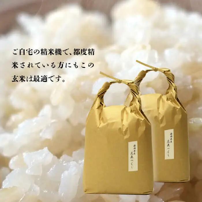 米 【特A】「元気つくし」5kg×2袋 [10kg] [玄米] [ABDF031] 米 ご飯 ごはん こめ コメ おにぎり