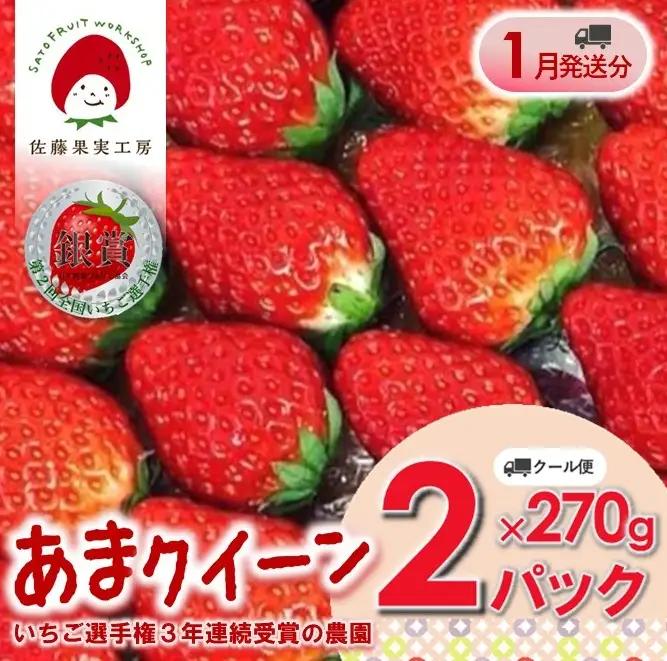 《2027年産先行予約》「西脇市産 佐藤果実工房 あまクイーン」（約270g×２パック 約540g）令和９年１月下旬配送分