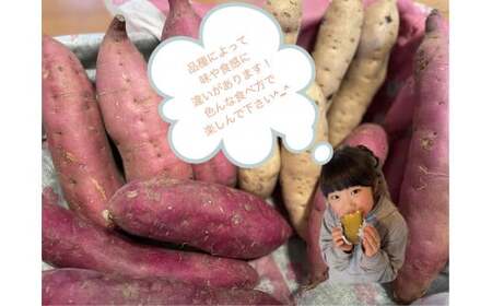 さつまいも 2種類 3kg　シルクスイート  パープルスイート ハロウィンスイート 紅あずま 紅はるか  安納芋  鳴門金時  2品種 詰め合わせ  国産 サツマイモ セット さつま芋 野菜 岩手県 