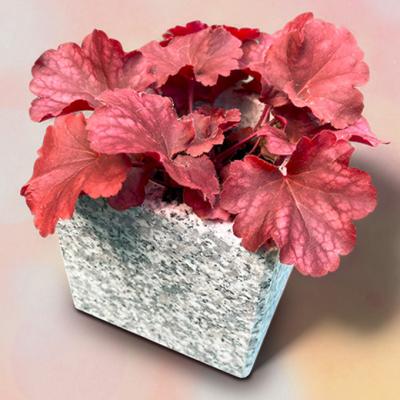 ふるさと納税 赤磐市 自然石フラワーポット サイズ(約)縦12cm×横12cm×高さ12cm[NO5765-1215] |  | 02