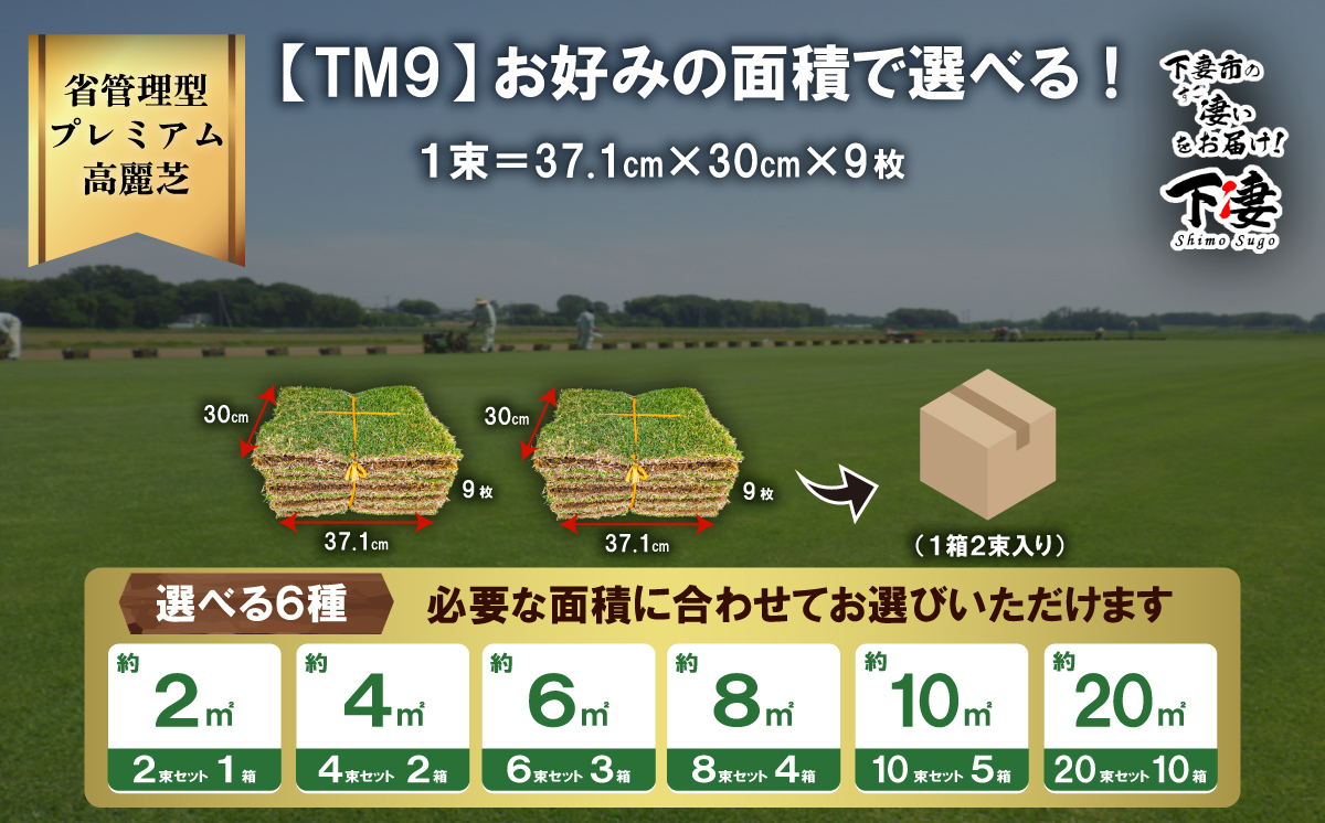 【先行予約】6㎡分 省管理型プレミアム高麗芝 「TM9（芝生）」コウライシバ ティーエムナイン 【2027年3月下旬頃から出荷予定】 6㎡分（6束）3箱 | 36,000円