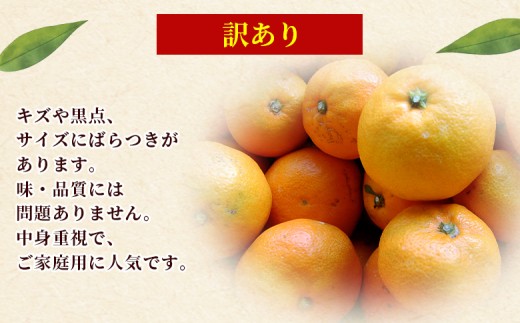 ＜愛媛産 訳あり 極早生みかん（サイズ混合）約5kg＞『2026年9月下旬から順次出荷予定』蜜柑 ミカン みかん 訳アリ ご家庭用 温州みかん 極早生 西宇和 果物 フルーツ 柑橘 国産 愛媛県産 西