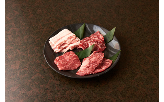 
『贅沢』一人焼肉コースセット | 牛肉 上物焼肉 ミノ ホルモン 栃木県 下野市 送料無料
