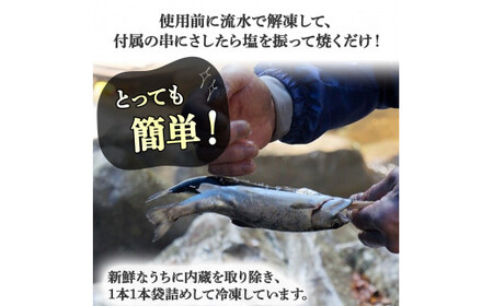 清流育ちの四万十あめご （約700g）冷凍 個包装 竹串付き BBQ 川魚 あめご ／Eay-01