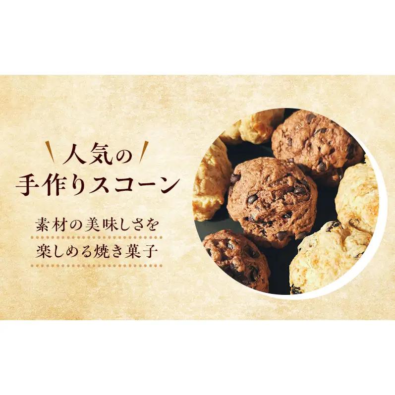 スコーン 詰め合わせ 12個セット 3種類 カシューナッツ レーズン ココア＆チョコ 手作り 焼き菓子