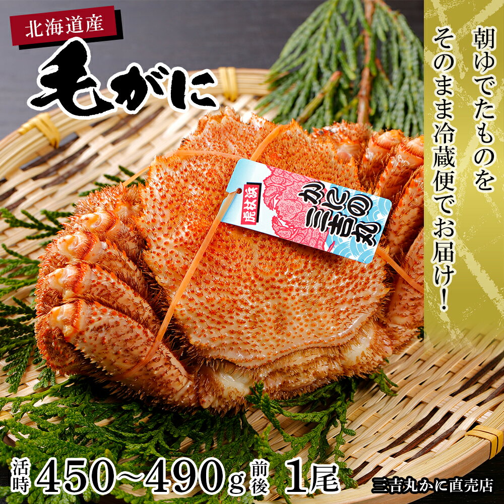 【ふるさと納税】数量限定【朝ゆで】北海道産ボイル毛ガニ（活時450-490g前後）1尾 AS145