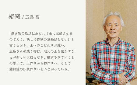  越前焼のふるさと越前町からお届け！刷毛目 イラボ 盃 椿窯 越前焼 越前焼き 【酒 杯 食器  ギフト うつわ 電子レンジ 食洗機  工芸品 陶芸作家 陶器 】 [e25-a026]