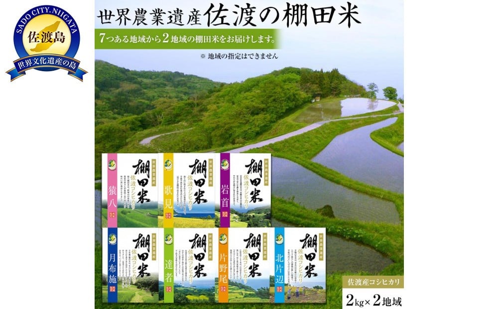 
            佐渡島産コシヒカリ 棚田米食べ比べセット 白米4Kg（2Kg×2地域）
          