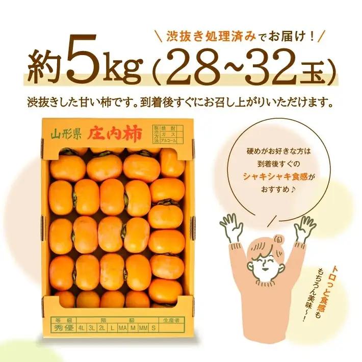 SB0941　酒田産 庄内柿　約5kg(28～32玉入)L～2Lサイズ