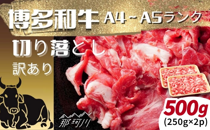 
            【訳あり】【A4～A5ランク】博多和牛 切り落とし 500ｇ（250g×2個） [GFR052]
          