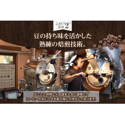 ふるさと納税 高浜市 厳選!世界のスペシャルティコーヒー 100g×3種 豆のまま |  | 03