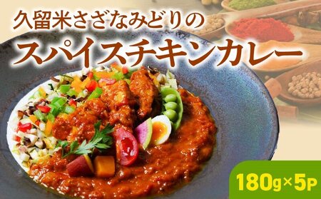 パキスタンチキンカレー_久留米 さざなみどり パキスタン チキンカレー 180g × 5パック FLAVORオリジナル ガラムマサラ カレー カレーライス 時短 レトルト 食品 加工品 肉加工品 惣菜 福岡県 久留米市 お取り寄せ お取り寄せグルメ 送料無料_Ca013