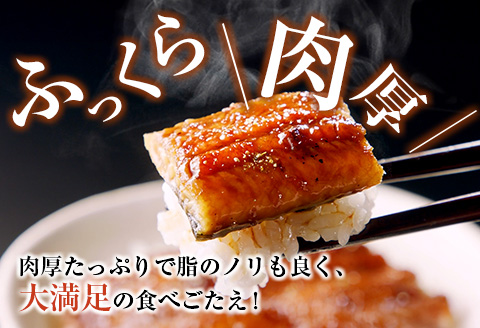 宮崎県産 うなぎ 蒲焼 3尾 計480g 個包装 長焼 国産 鰻