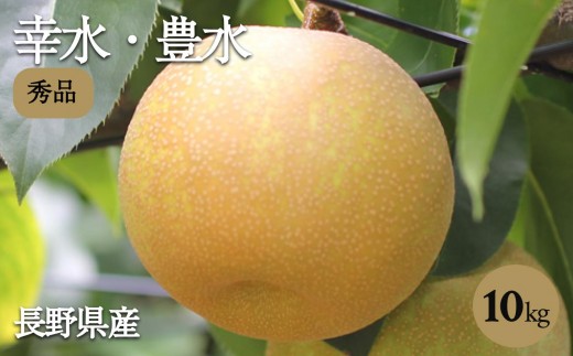 溢れる 果汁 ジューシー な 梨 幸水 豊水 秀品 約10kg〈2026年8月下旬～9月中旬発送〉| 山下屋荘介 果物 くだもの フルーツ 梨 和梨 幸水 豊水 長野県 信州 南信州 飯田市