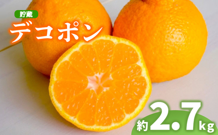 2026年 先行予約 デコポン 約2.7kg 不知火 デコポン