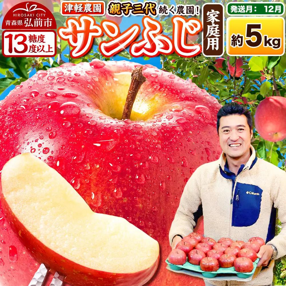 りんご サンふじ 家庭用 約5kg 【12月発送】 りんご