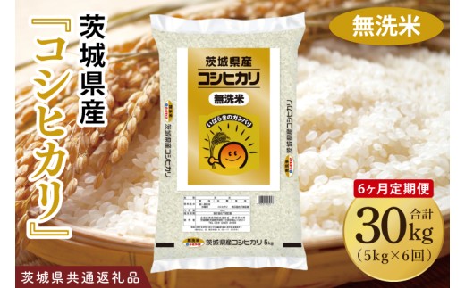 【6ヶ月定期便】令和7年産 茨城県産 無洗米コシヒカリ10kg（5kg×2袋）【お米 米 こしひかり ごはん 茨城県】（03-61-1）