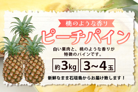 石垣島産 ピーチパイン 3～4玉セット 約3㎏【 産地直送 石垣島産 石垣 完熟 パイン パイナップル 】TD-5