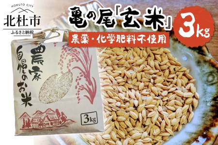 【令和7年度新米】【令和7年度米】白州米 亀の尾『玄米』3kg  農薬不使用 化学肥料不使用 天日干し 幻 希少 低タンパク 山梨県 北杜市 