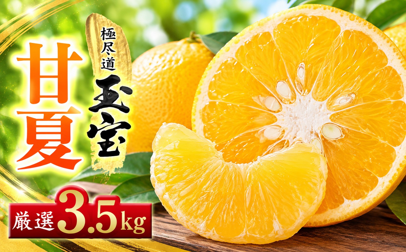 
                  【先行受付】【愛媛名産】玉宝甘夏　3.5kg【C64-73】ふるさと納税 果物 くだもの あまなつ みかん ミカン 蜜柑 柑橘 フルーツ 期間限定 季節限定 特産品 YWTY083
                